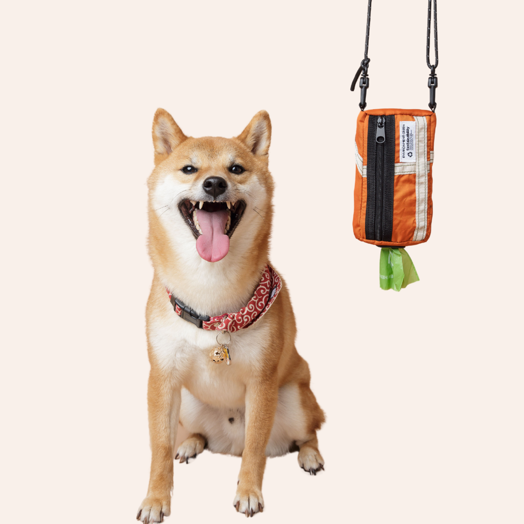 Pawrent Walkie Essentials Pouch