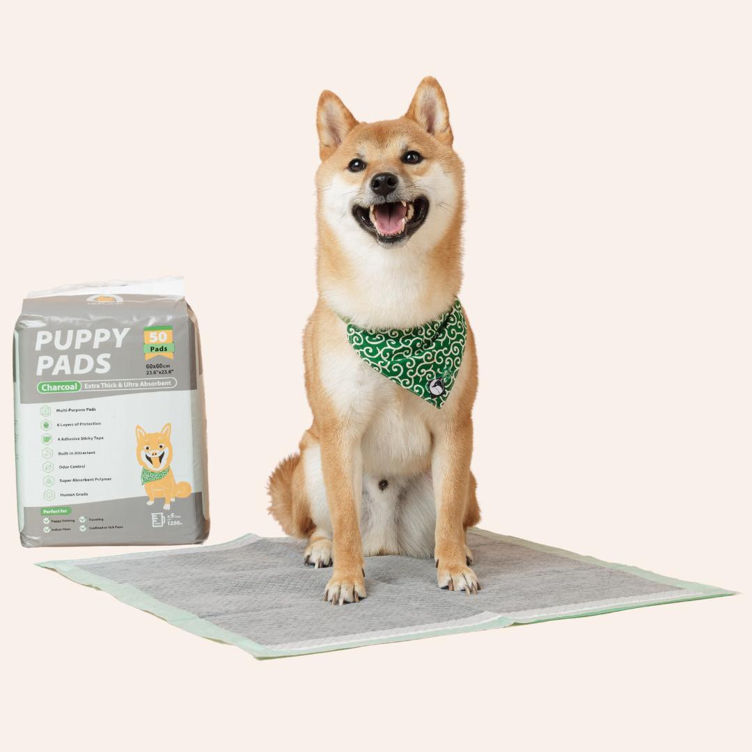 Puppy Pads - Charcoal
