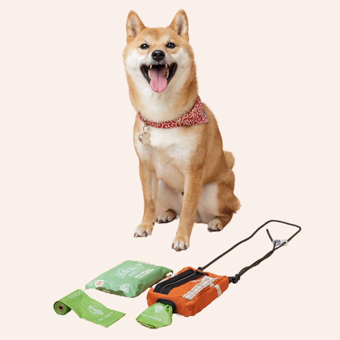 Pawrent Walkie Essentials Pouch