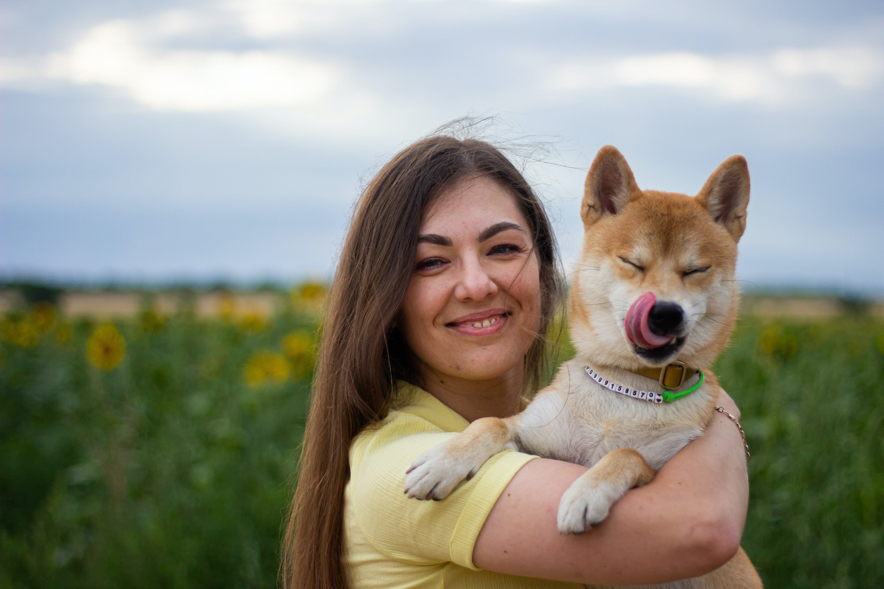 10 Birthday Gift Ideas For Dog Owners Asahi Paws 10-birthday-gift-ideas-for-dog-owners-asahi-paws