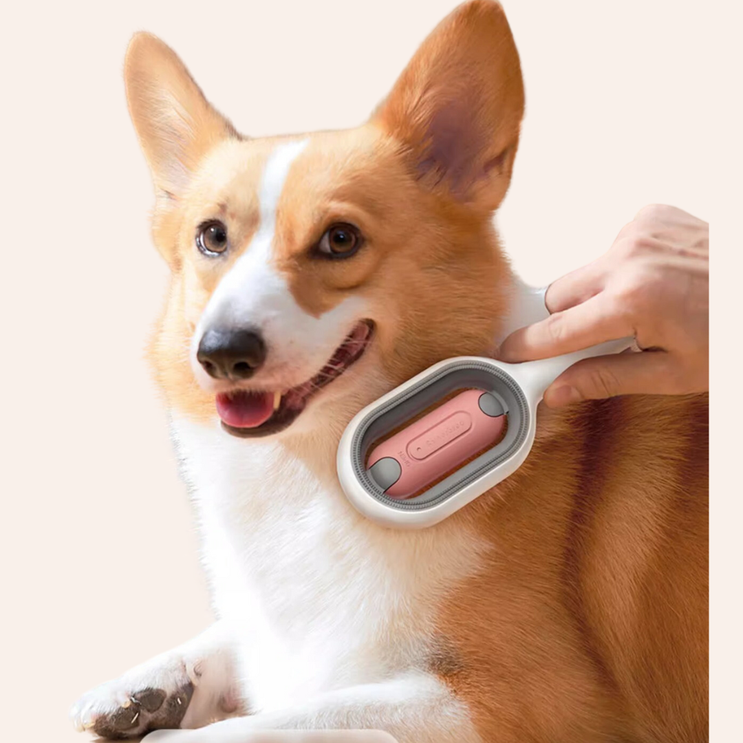 2 in 1 Cleaning Pet Grooming Brush