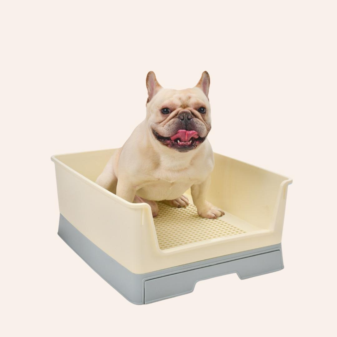 Puppy Toilet Training Tray With Wall