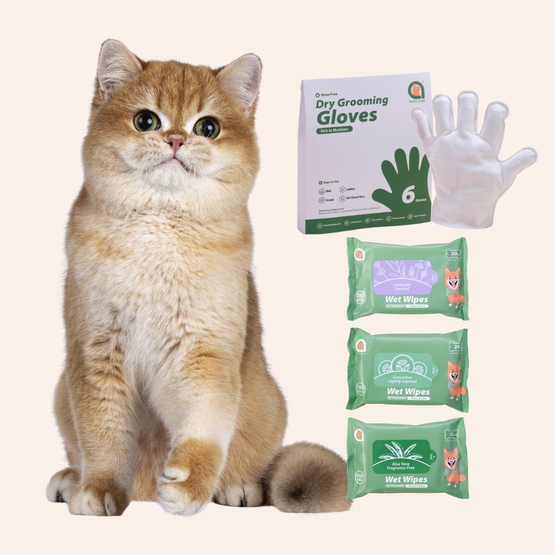 Cat Clean-Up All-In-One Bundle