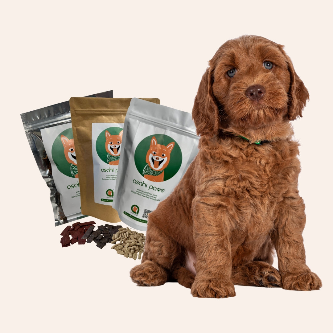 Assorted Treats Bundle