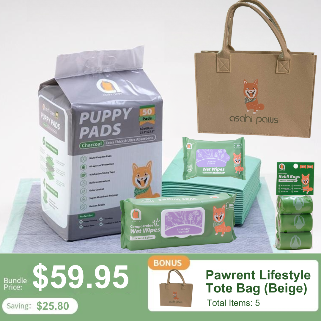 Complete Greener Pet Care Bundle - Charcoal