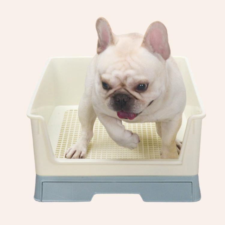 Puppy Toilet Training Tray With Wall