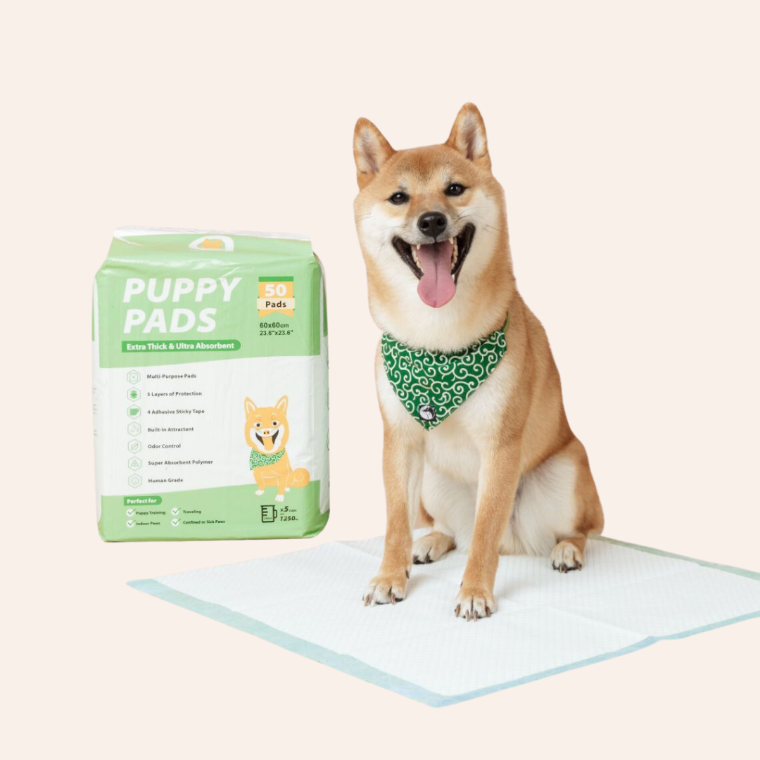 Puppy Pads - Regular