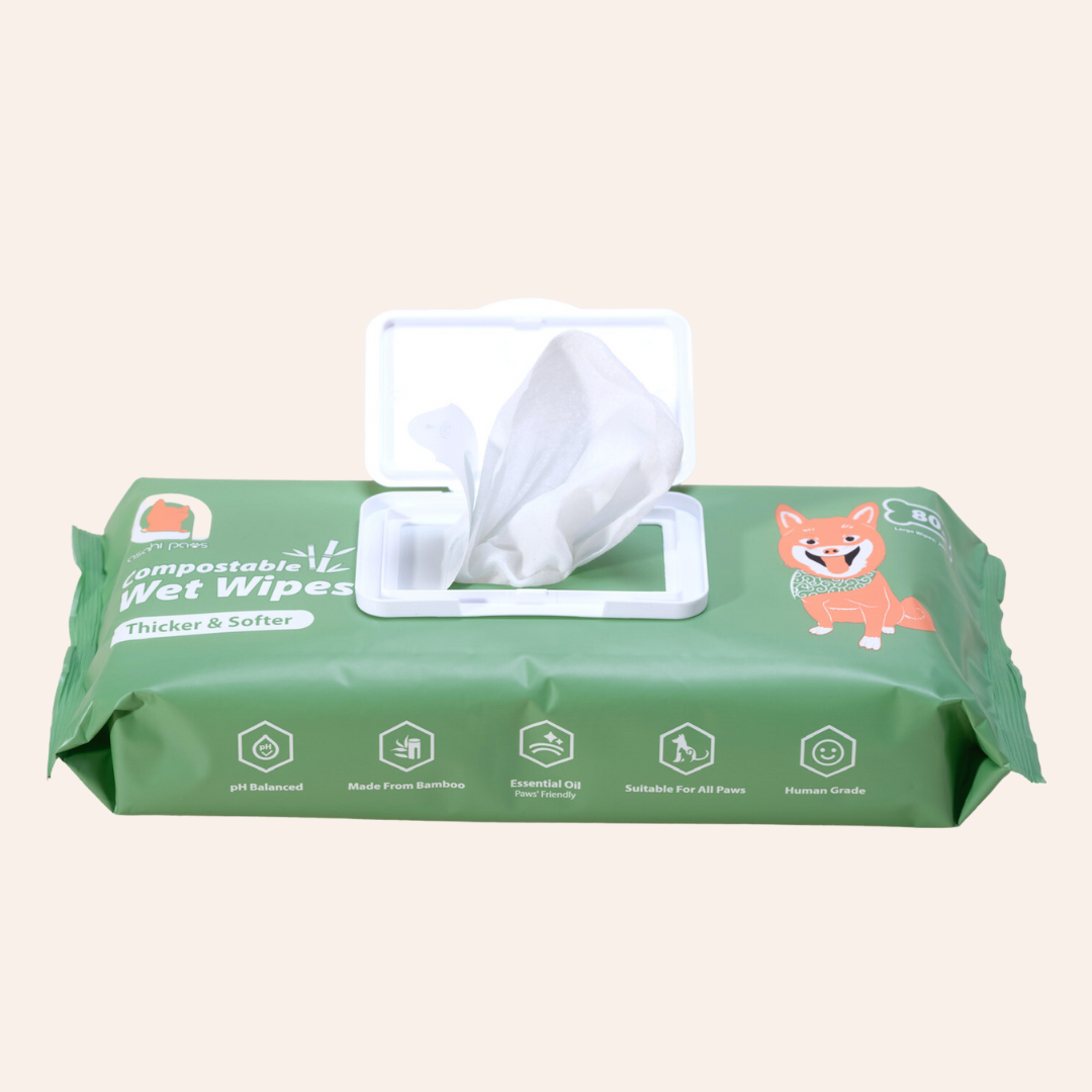 Wet Wipes - Aloe Vera