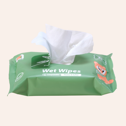 Wet Wipes - Aloe Vera