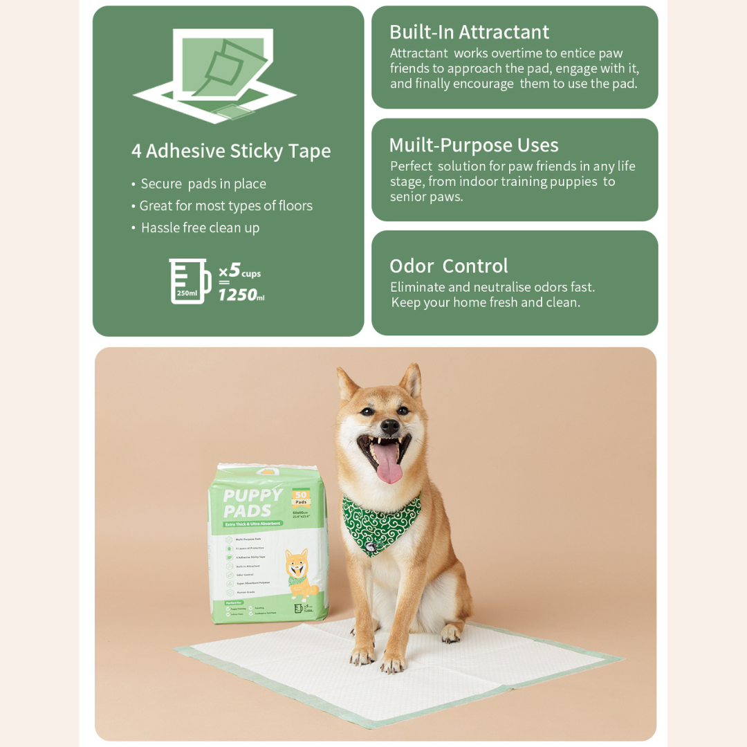 Good friends training pads hot sale