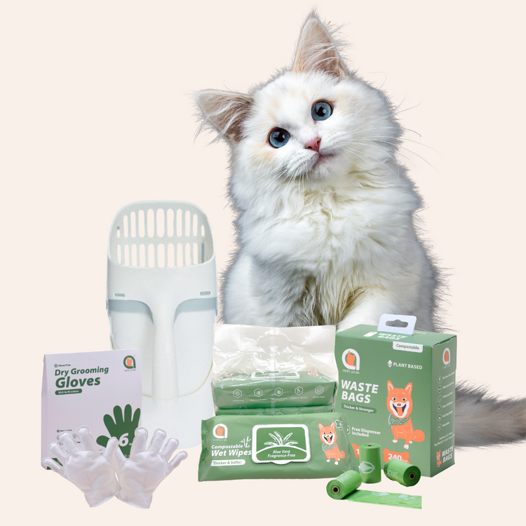 Bundles - Asahi Paws - Kitten Comfort Aids