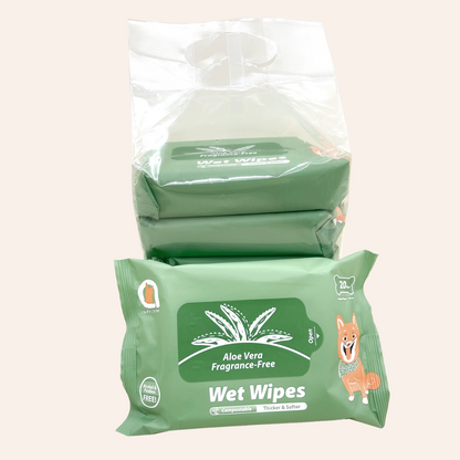 Wet Wipes - Aloe Vera